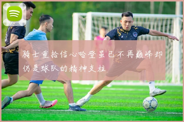 骑士重拾信心哈登虽已不再巅峰却仍是球队的精神支柱
